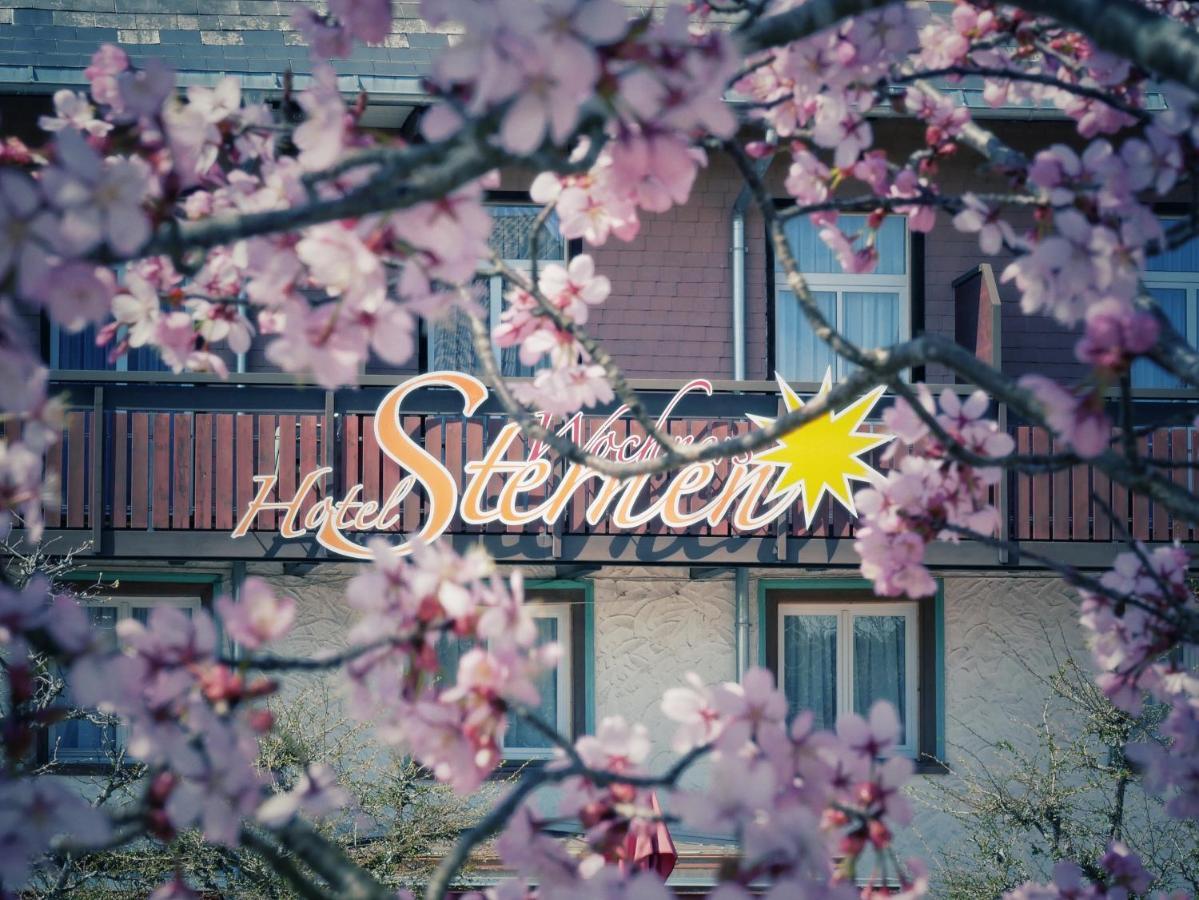 Wochner'S Hotel-Sternen Am Schluchsee Hochschwarzwald 외부 사진